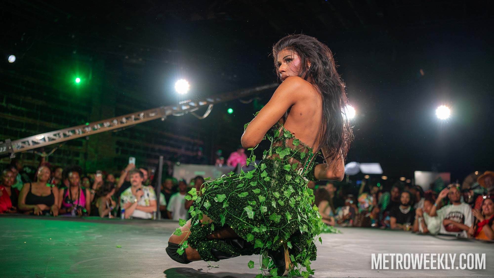 #31 of 50 : 2025-06-27_3009_178208.jpg