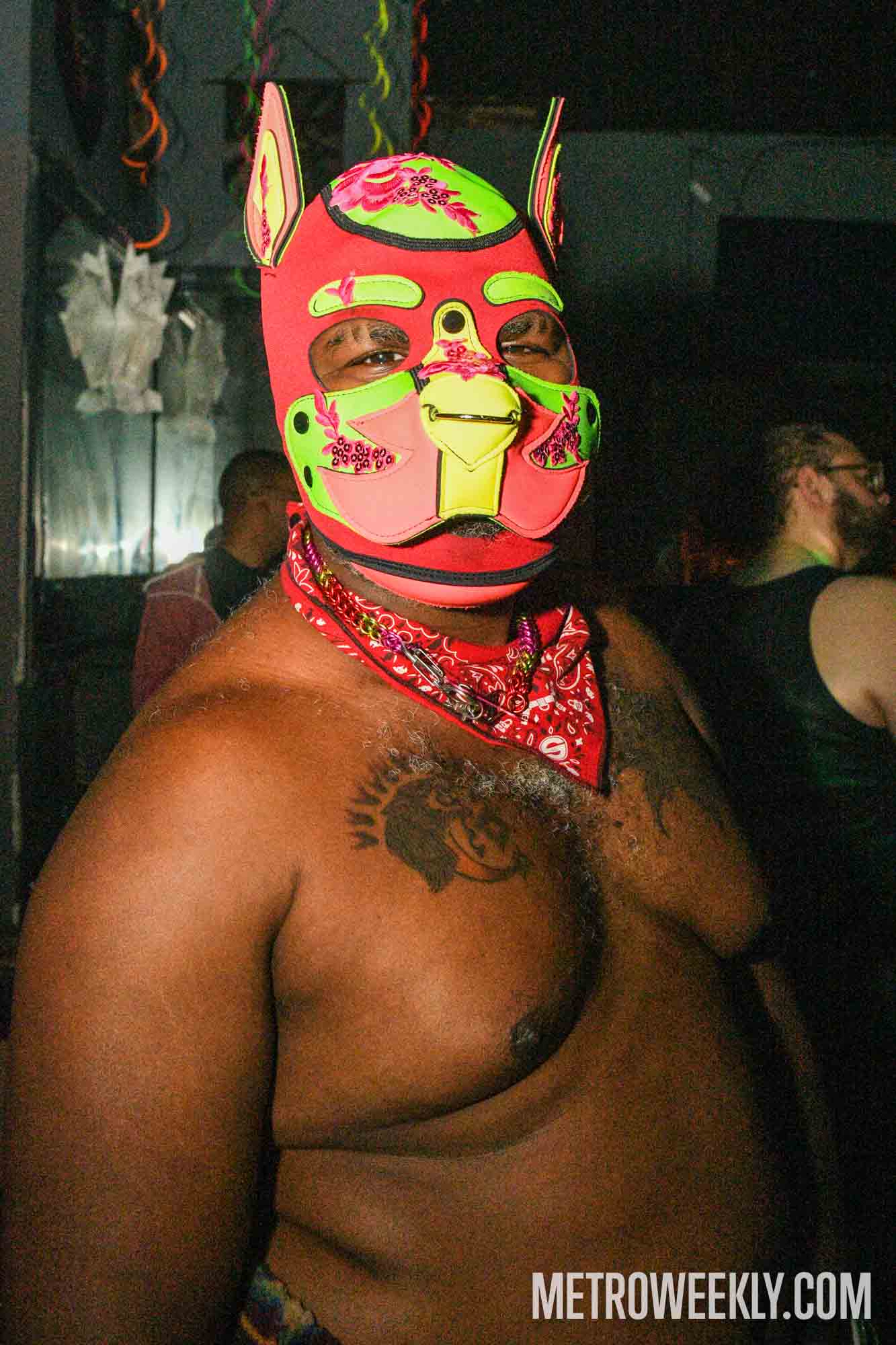 #9 of 18 : 2025-11-20_3019_178810.jpg