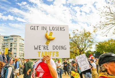 No Kings March, Washington D.C. #119